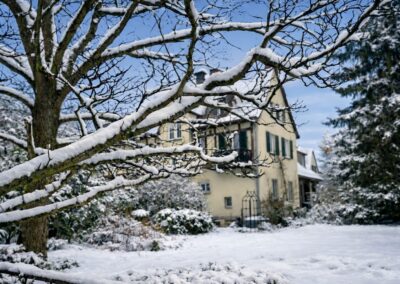 Parkgärtnerei Darmstadt Saisonal abgestimmte Pflanzenvielfalt für Beet, Balkon, Terrasse und Garten.