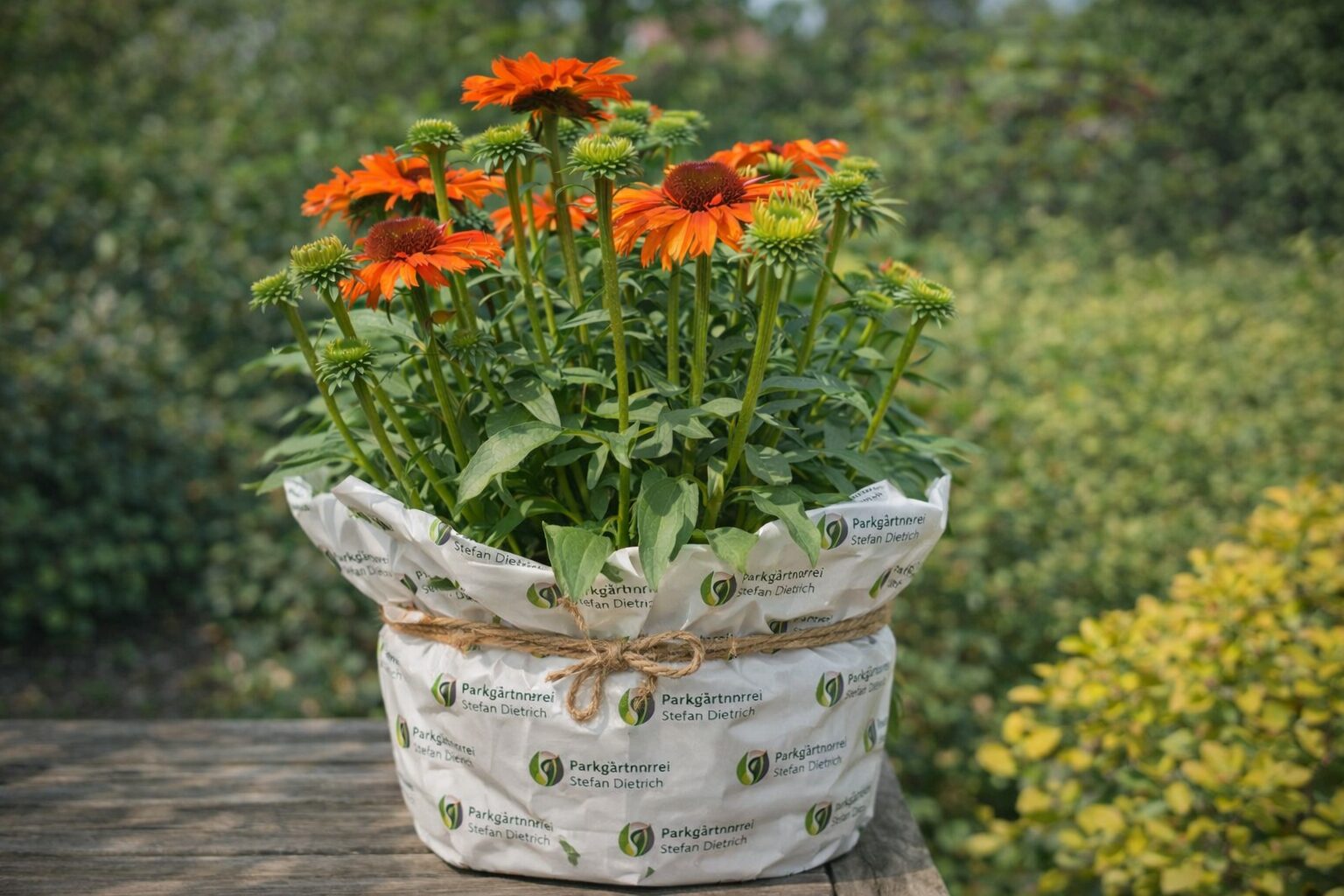 parkgaertnerei-stefan-dietrich-darmstadt-004-2